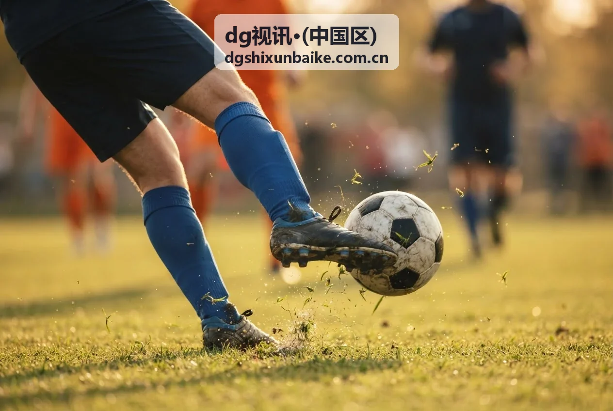 dg视讯·(中国区)品牌介绍——智能视讯解决方案服务商